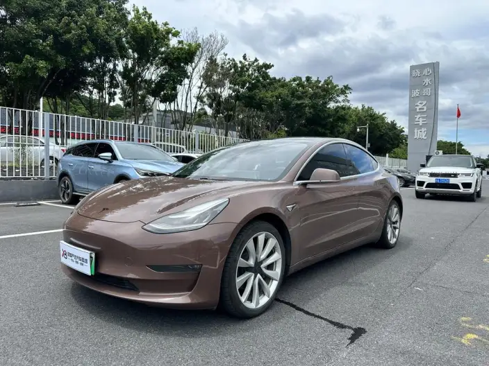 Model 3 2020 Model Long Battery Life Pro Rear-wheel drive version