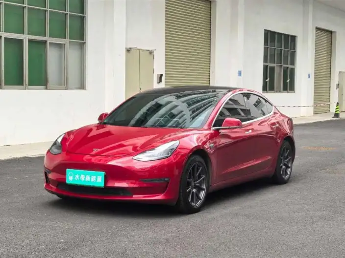 Model 3 2020 Model Long Battery Life Pro Rear-wheel drive version