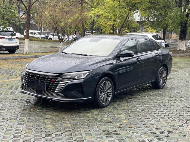 Yixuan Max 2023 1.5T Super Capable Dad Edition – фото 1