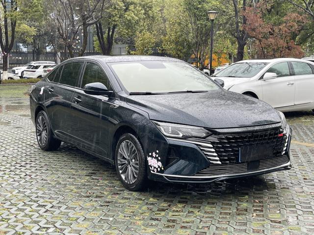 Yixuan Max 2023 1.5T Super Capable Dad Edition – фото 3