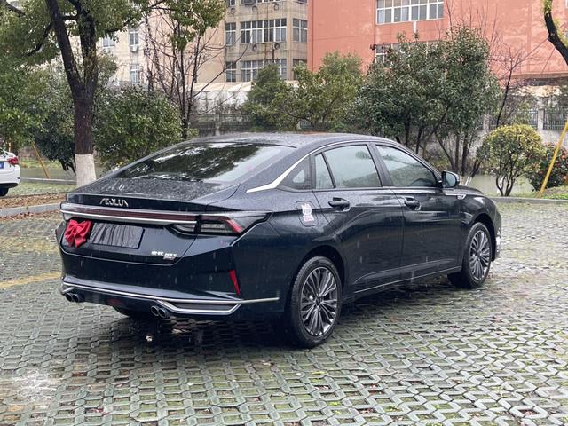 Yixuan Max 2023 1.5T Super Capable Dad Edition – фото 14