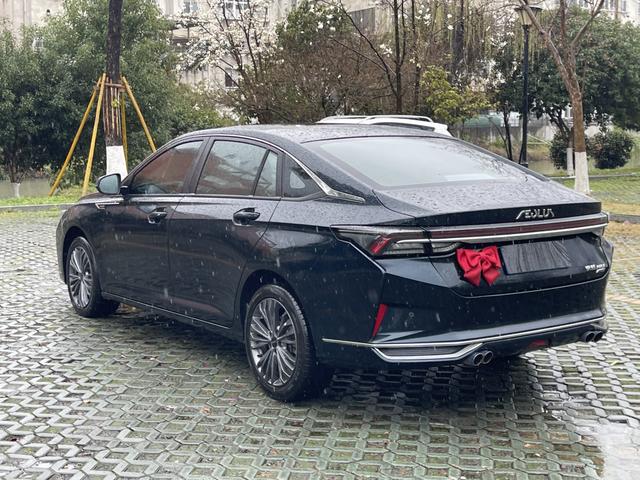 Yixuan Max 2023 1.5T Super Capable Dad Edition – фото 16