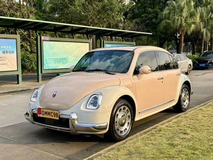 ORA Ballet Cat 2023 Model 401km Premium Edition