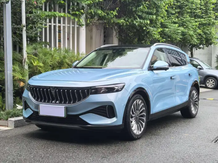 VOYAH FREE 2021 Model 4WD Standard Extended Range Edition