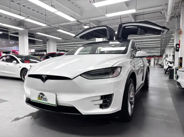 Model X 2020 Model Long Battery Life Pro L Class Edition