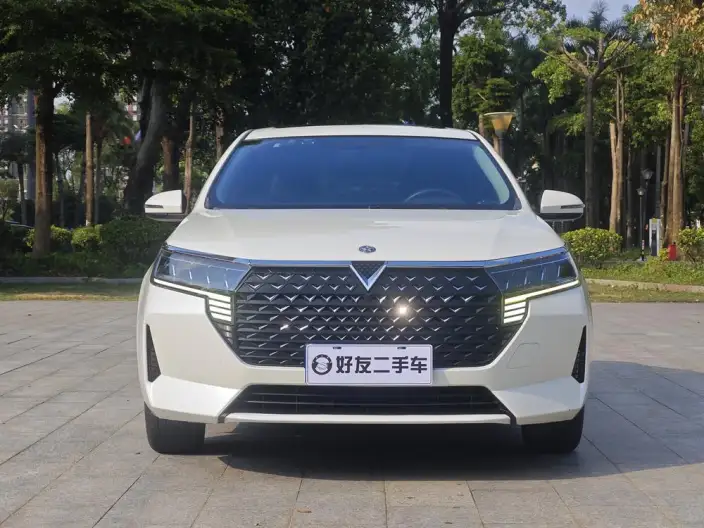 Venucia D60 2021 Model PLUS 1.6L XL CVT Yue Ling Edition
