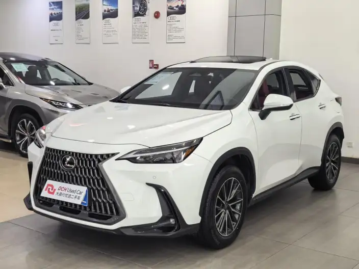 Lexus NX 2025 Model 200 Qian Drive FUN