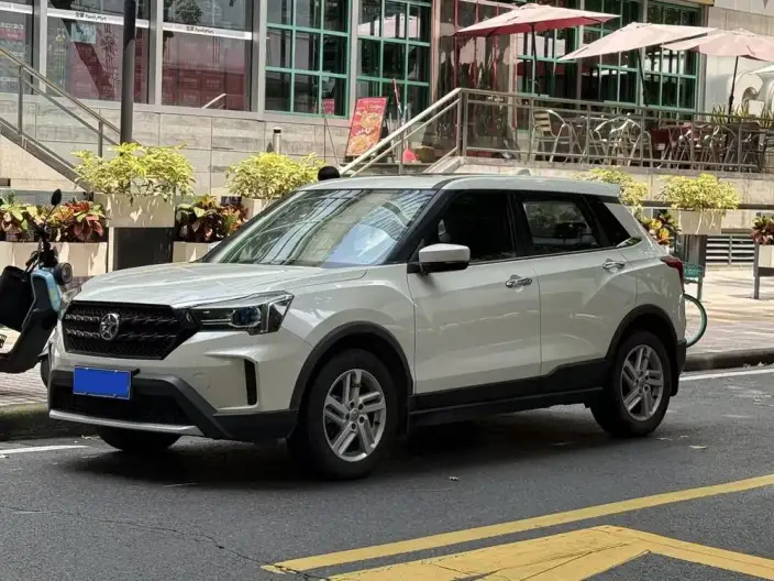 Qichen T60 2020 Model 1.6L CVT Zhixing Edition China V