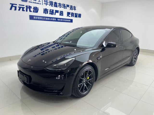 Tesla Model 3 2021 Standard Range RWD Upgraded – фото 1