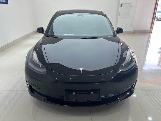 Tesla Model 3 2021 Standard Range RWD Upgraded – фото 2