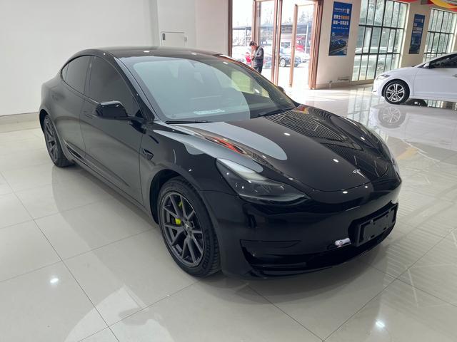 Tesla Model 3 2021 Standard Range RWD Upgraded – фото 3