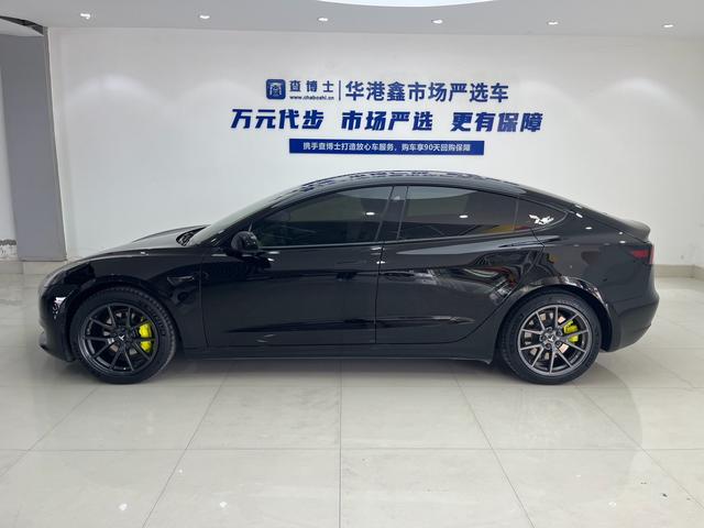 Tesla Model 3 2021 Standard Range RWD Upgraded – фото 4
