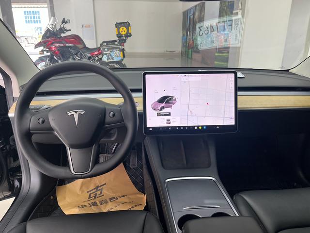 Tesla Model 3 2021 Standard Range RWD Upgraded – фото 7