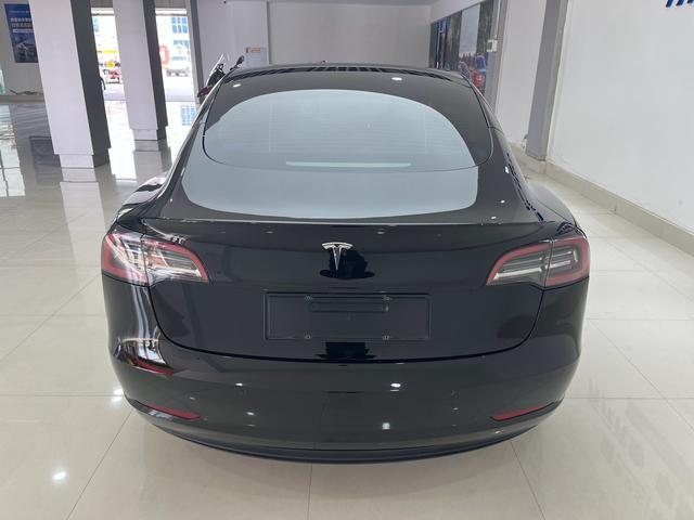 Tesla Model 3 2021 Standard Range RWD Upgraded – фото 10
