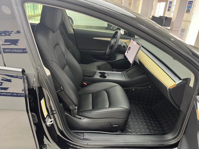Tesla Model 3 2021 Standard Range RWD Upgraded – фото 12