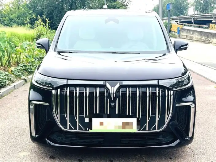 VOYAH Dreamer PHEV 2024 Model Ultra-long Endurance Premium Edition