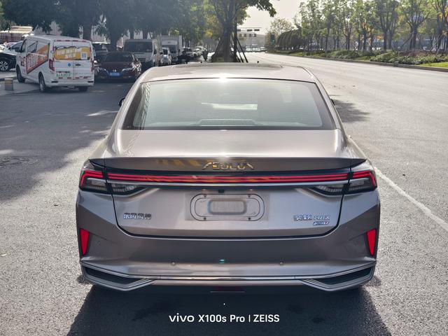 Yixuan Max 2021 1.5T Super Hot Dad Edition – фото 9