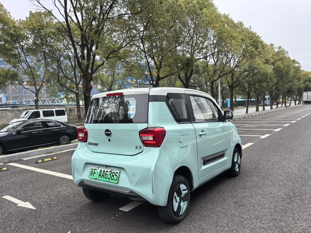 Yuanbao Модель 2022 года 170km Zhimeng Edition – фото 7