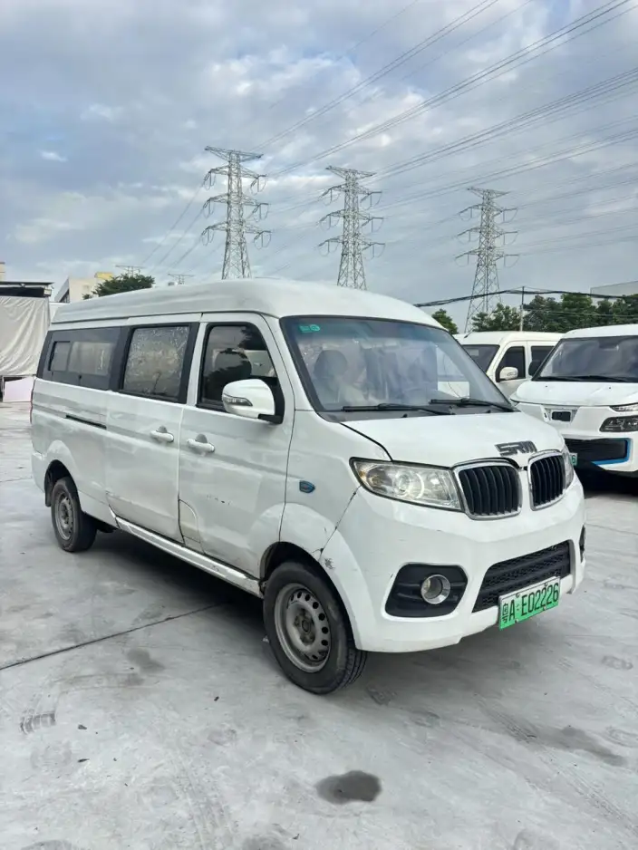 Haise EV 2021 Model Comfort Model