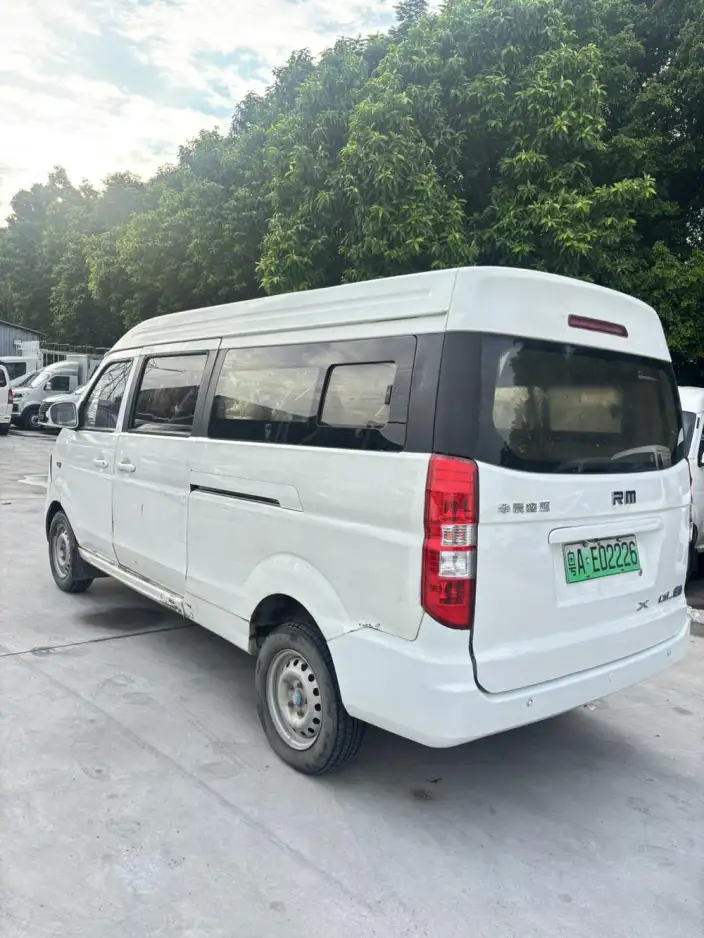 Haise EV 2021 Model Comfort Model