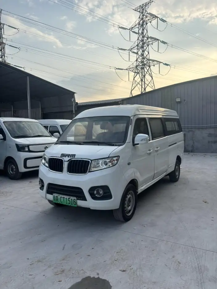 Haise EV 2021 Model Comfort Model