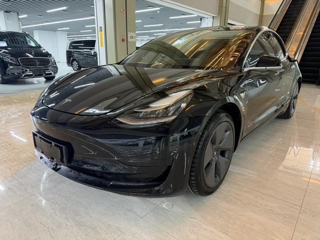Tesla Model 3 2021 Standard Range RWD Upgraded – фото 1