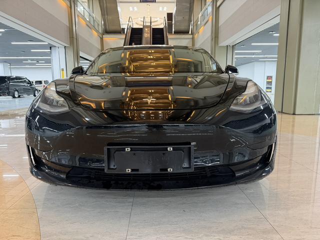 Tesla Model 3 2021 Standard Range RWD Upgraded – фото 2