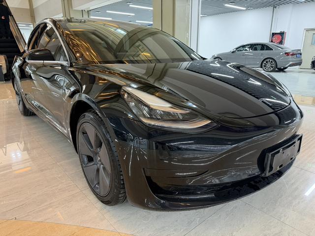 Tesla Model 3 2021 Standard Range RWD Upgraded – фото 3