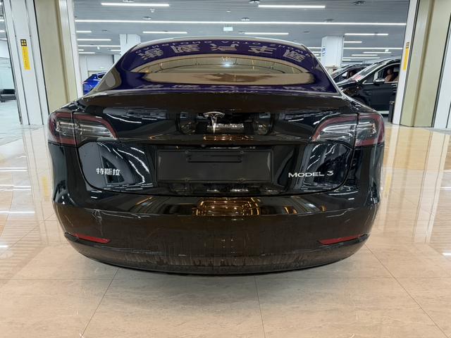 Tesla Model 3 2021 Standard Range RWD Upgraded – фото 12