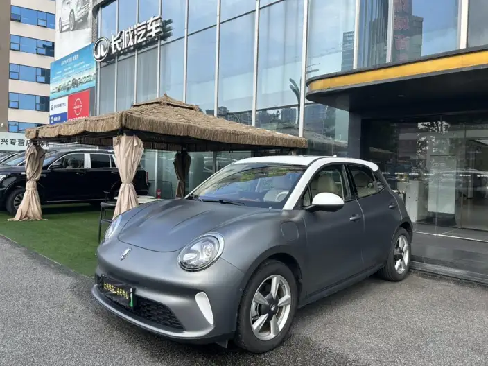 ORA Good Cat 2025 Model 430km Zunrong Model