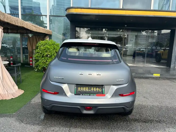 ORA Good Cat 2025 Model 430km Zunrong Model