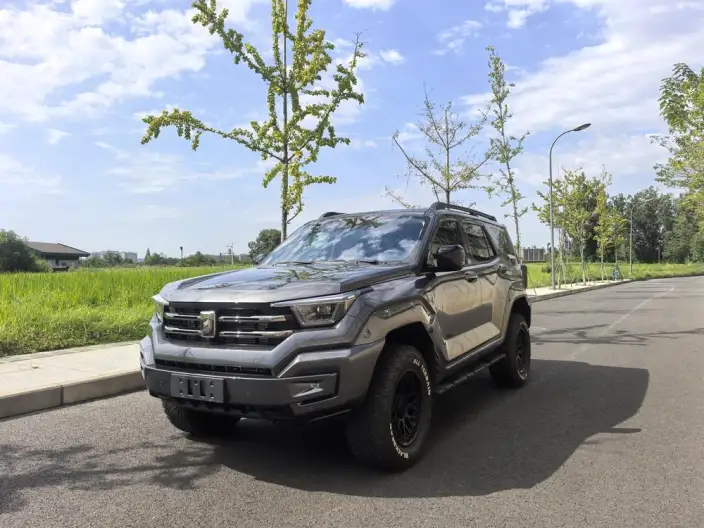 Tank 400 2025 Model 2.0T Gasoline Edition