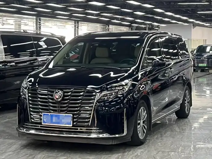 Buick GL8 2023 Model ES Luzun 2.0T Exclusive Model