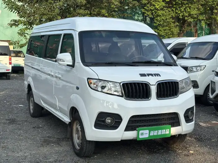 Small Haise EV 2022 Model Standard Model