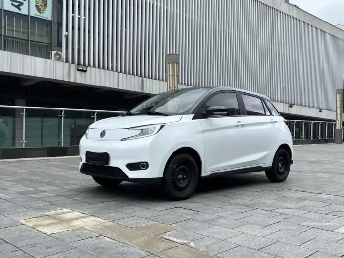 Young Guang Xiaoxin 2021 Model Business Edition 4 seat