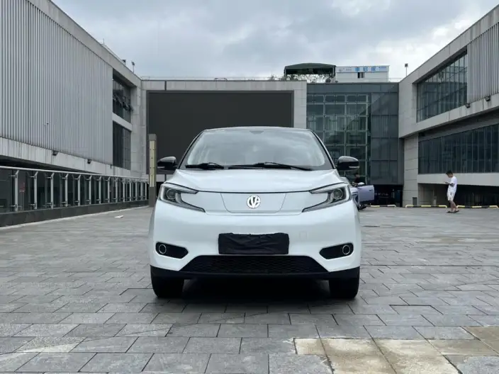 Young Guang Xiaoxin 2021 Model Business Edition 4 seat