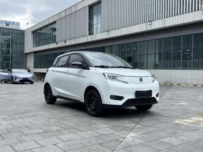 Young Guang Xiaoxin 2021 Model Business Edition 4 seat