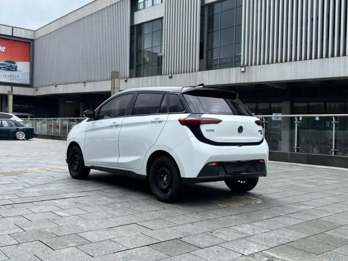 Young Guang Xiaoxin 2021 Model Business Edition 4 seat