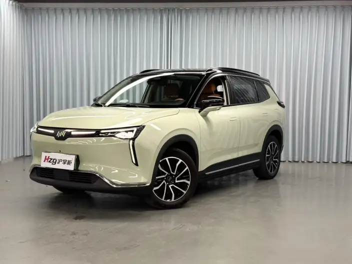 Weltmeister W6 2021 Model 520km ACE Extreme Wisdom Edition