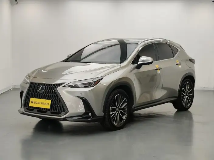 Lexus NX 2022 Model 260 Qian Drive Creative Edition