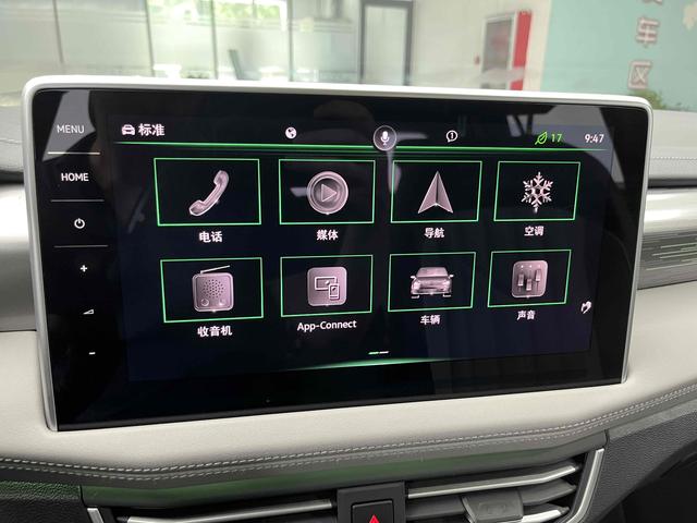 Volkswagen Tayron 2023 380TSI 4WD R-Line Pro Smart Enjoy Edition – фото 6