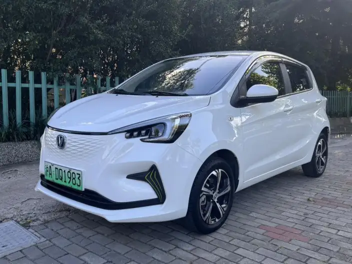 Changan Benben E-Star 2020 Model Heart Edition Ternary lithium