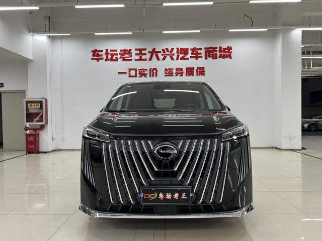 GAC Trumpchi M8 2024 модификация Luxgen Shi Series Lie 2.0TGDI Premium Edition – фото 2