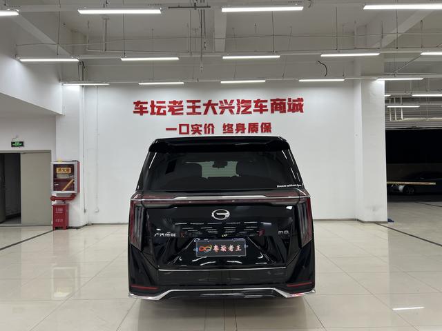 GAC Trumpchi M8 2024 модификация Luxgen Shi Series Lie 2.0TGDI Premium Edition – фото 8