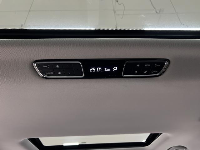 GAC Trumpchi M8 2024 модификация Luxgen Shi Series Lie 2.0TGDI Premium Edition – фото 14