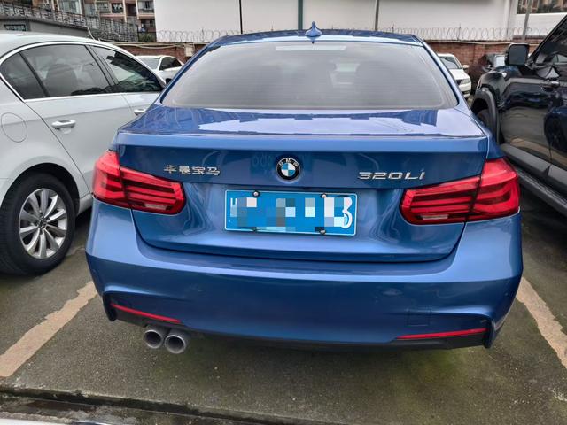 BMW 3 Series 2019 320Li M Sport Package – фото 8