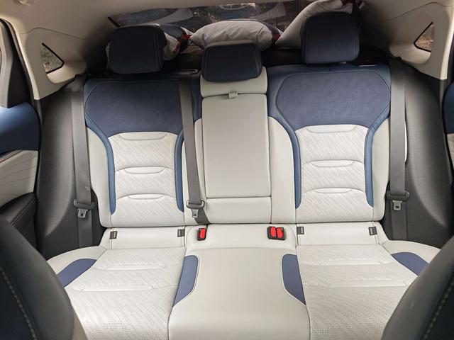 Geely StarRui Модель 2020 года 2.0T Prestige – фото 9