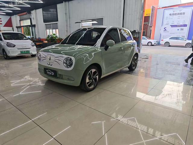 ORA Black Cat Модель 2022 года 351km Com f ort Ternary lithium