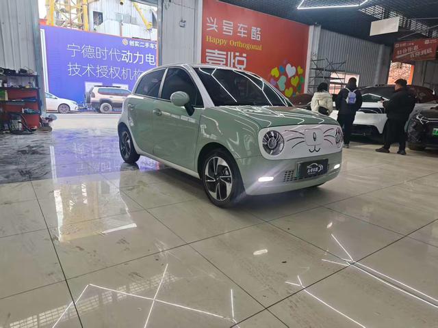 ORA Black Cat Модель 2022 года 351km Com f ort Ternary lithium