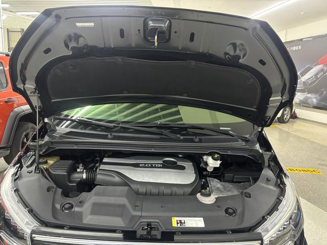 Maxus G20 2021 Plus 2.0T Petrol Automatic Luxury Edition – фото 12